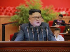 North Korean nuclear disarmament 'a lost cause', says US intel chief