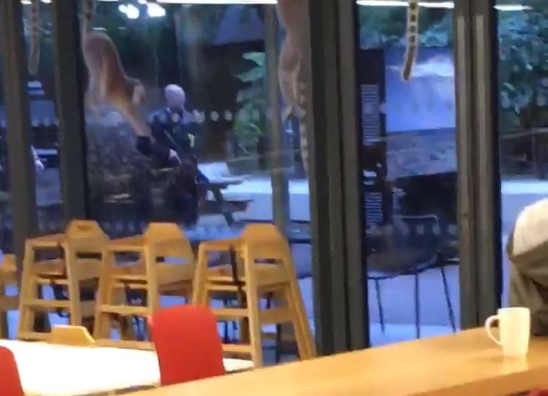 A shot taken by someone locked in London Zoo