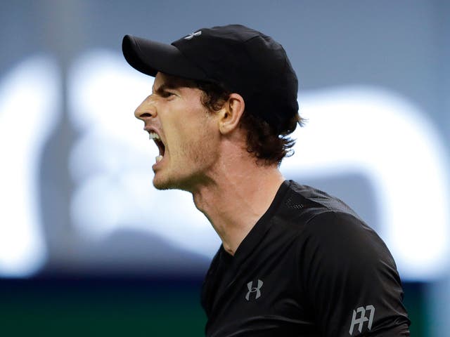 Andy Murray's fine form continues