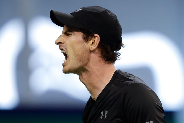 Andy Murray's fine form continues