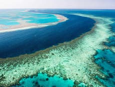 Divers explore giant sinkhole discovered in Great Barrier Reef