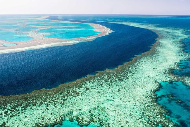 The great Barrier Reef