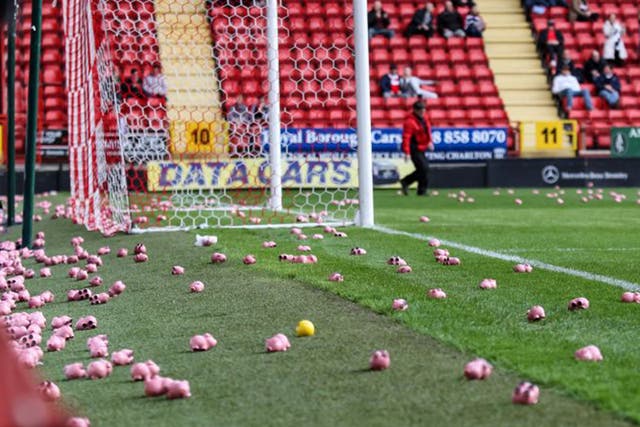 Plastic pigs litter the pitch at The Valley