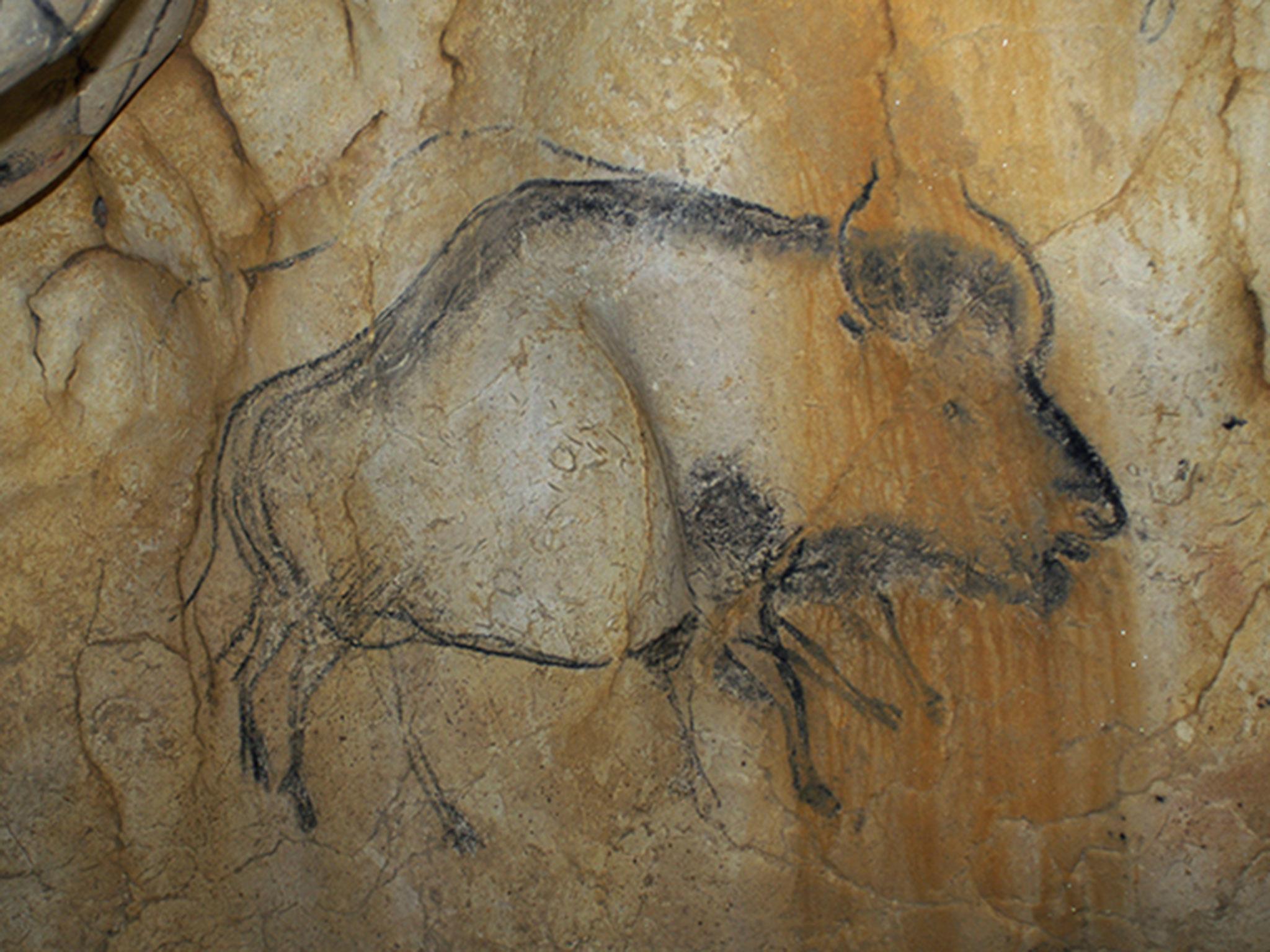 A black charcoal drawing of steppe bison in the Chauvet-Pont d'Arc cave in France