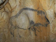 Prehistoric cave paintings help solve the mystery of Europe's bison