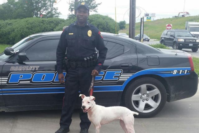 Dogs are selected from a shelter and trained before being given to police