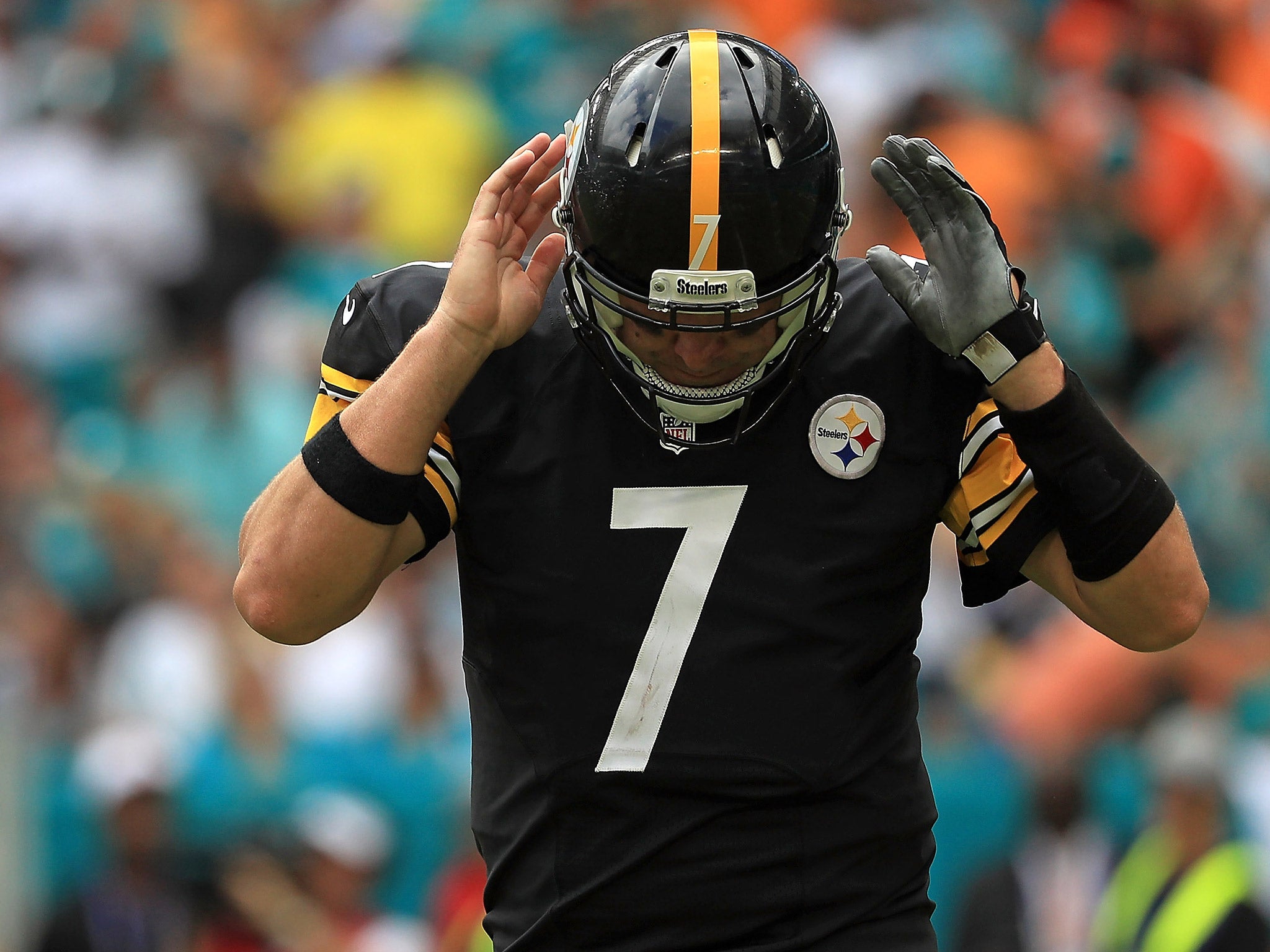 Roethlisberger suffered a torn meniscus and underwent surgery at the weekend