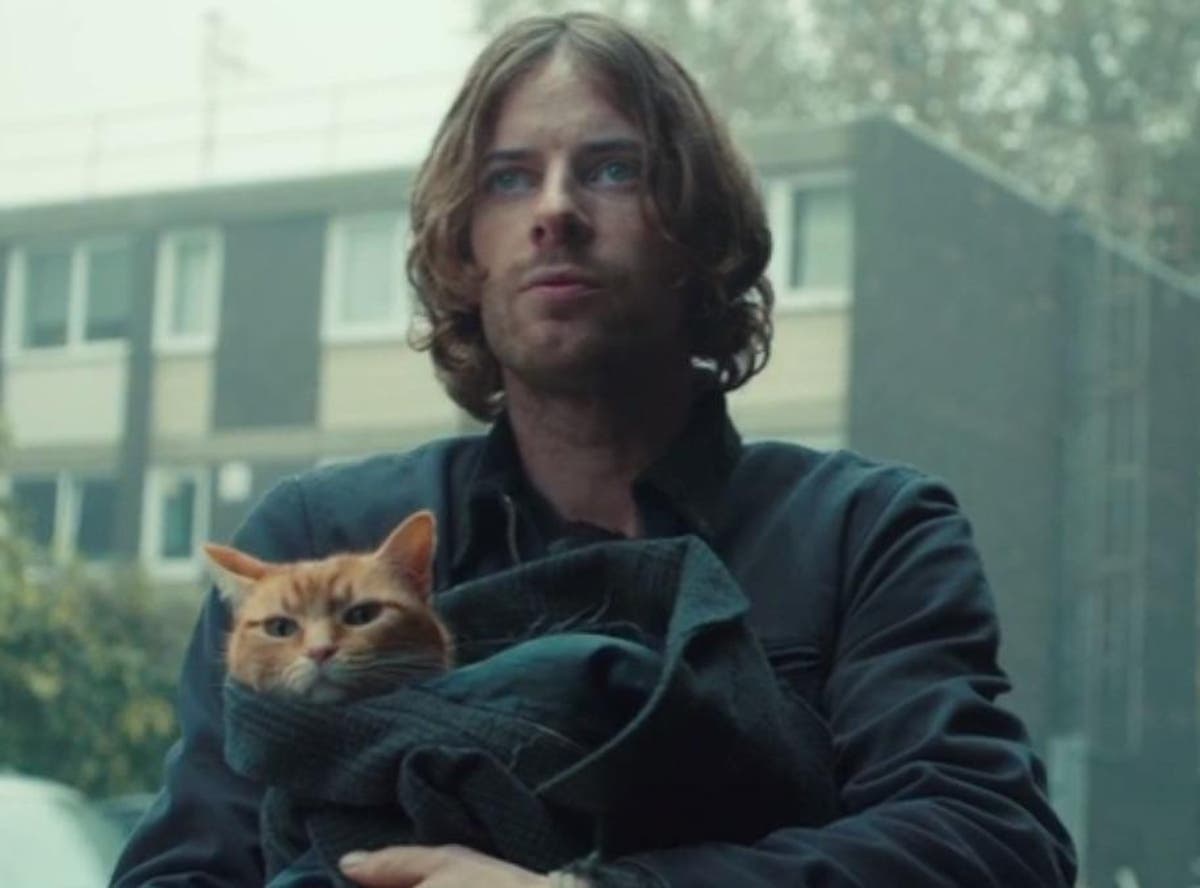 A Street Cat Named Bob makes his film debut in this clip exclusive 