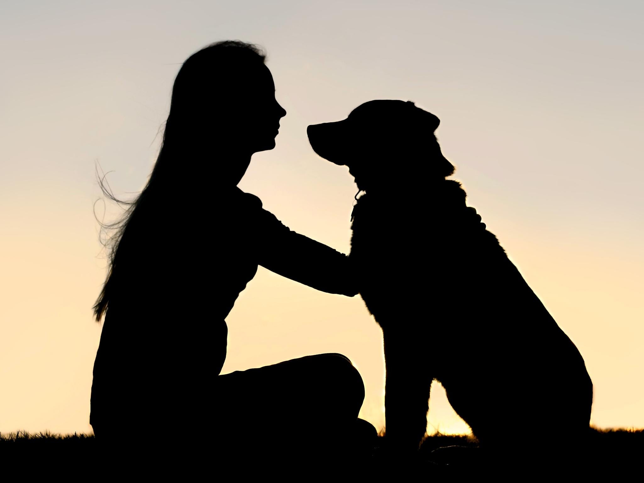 It takes around 200 hours of training for abused women to work effectively with their protection dogs