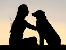 Domestic abuse charity provides women with dogs to protect them