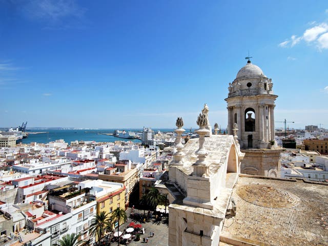 Cadiz plans to deal humanely with its pigeon problem