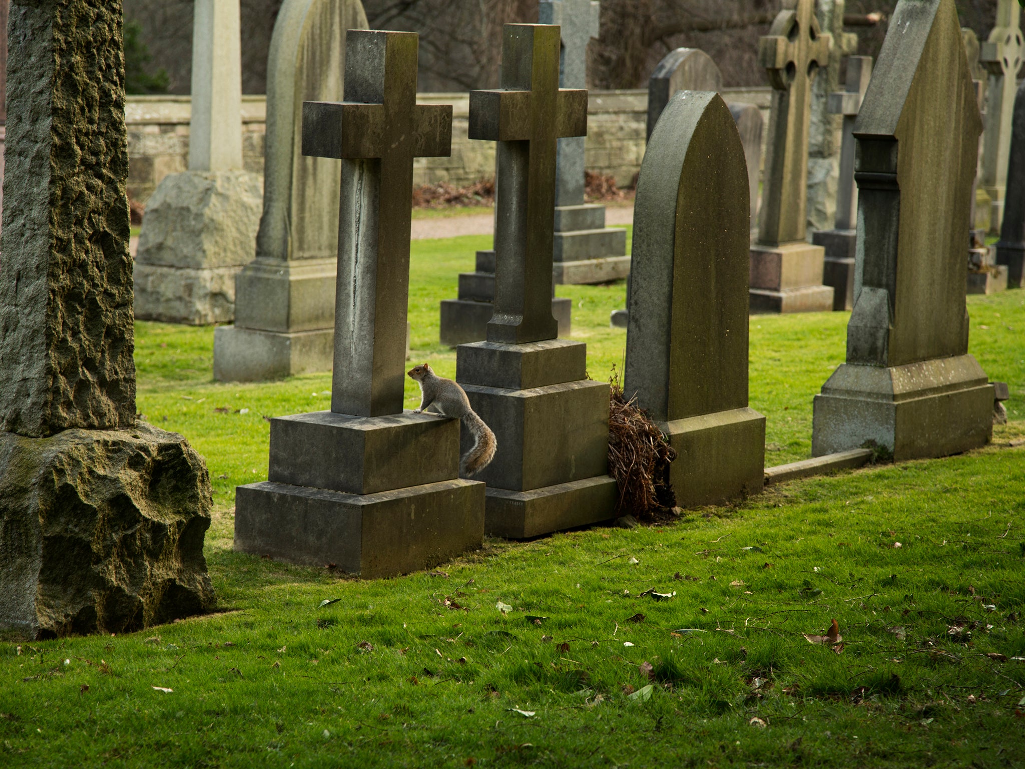 Religious symbols such as the cross will be banned from headstones