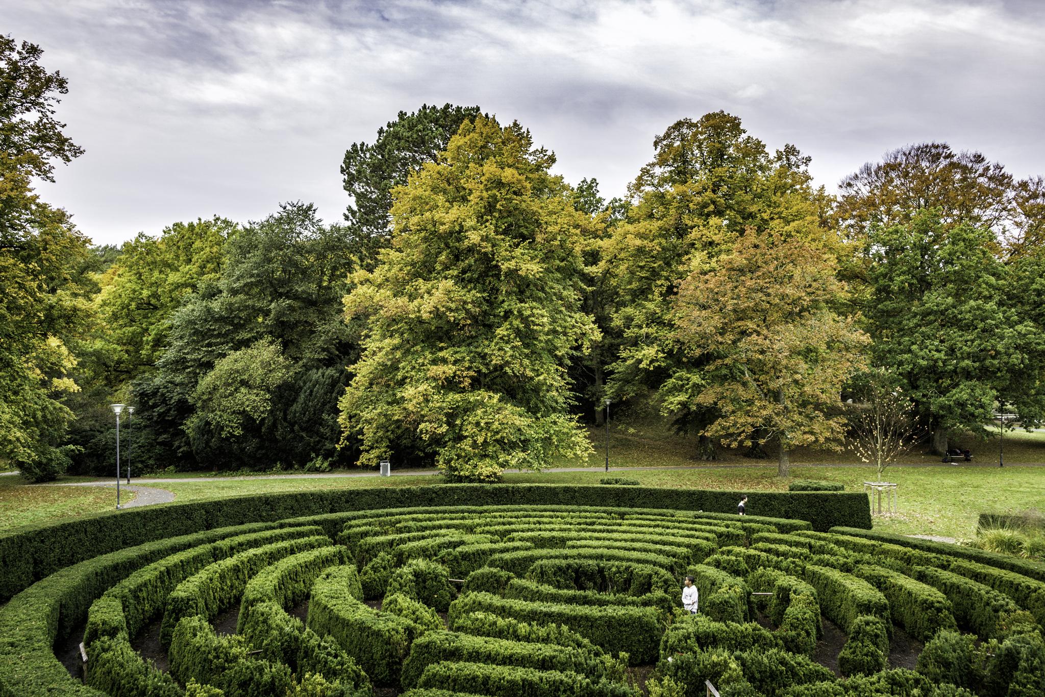 Slottsskogen is Gothenburg’s main park (Per Pixel Petersson/Goteborg &amp; Co)