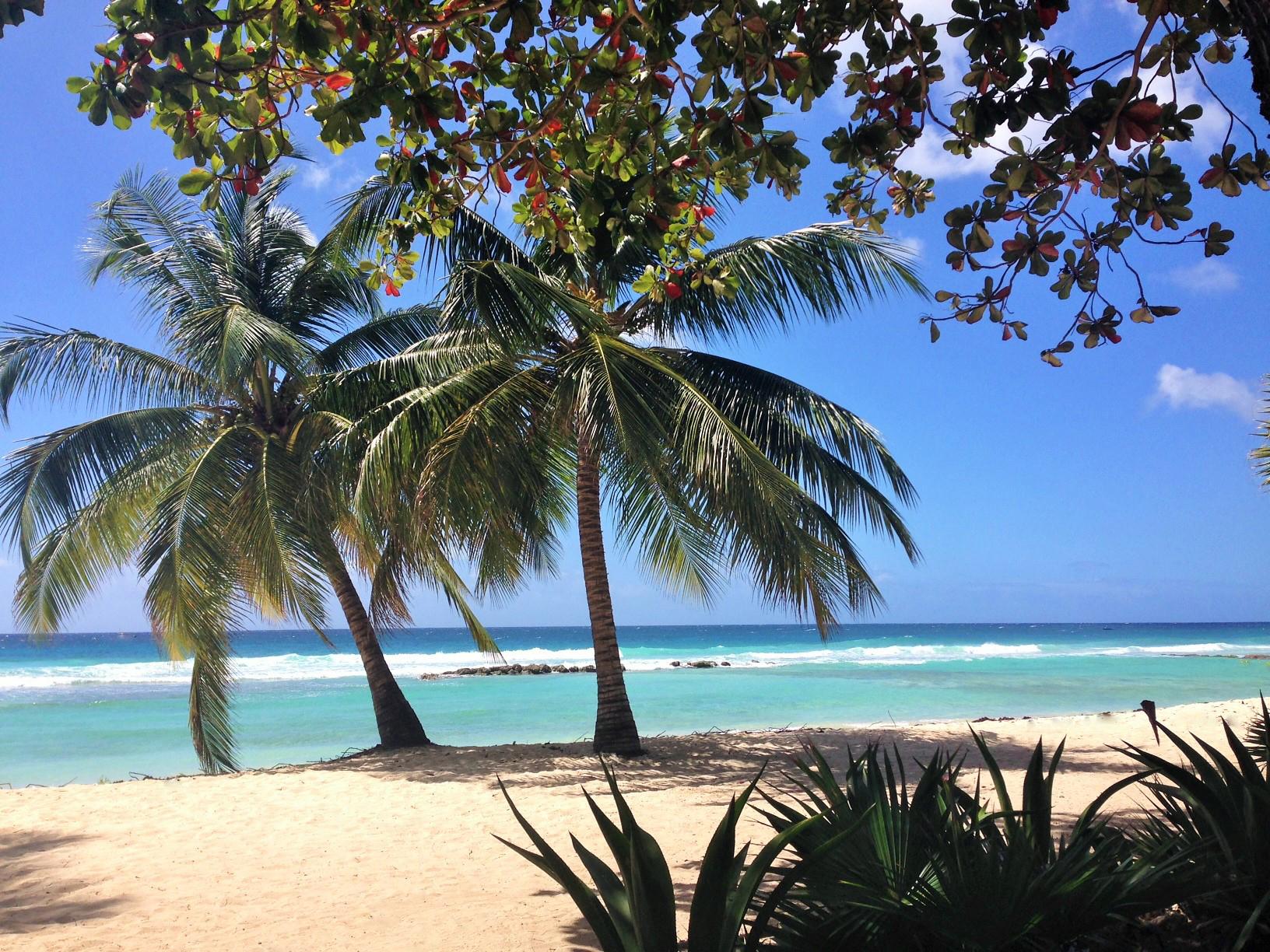 Caribbean Holidays Embracing The All Inclusive In Barbados The Independent