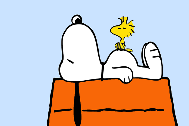 The Peanuts characters were created by Charles Schulz and are licensed in over 100 countries