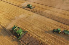 Global warming could cut essential crop harvests in half, study finds