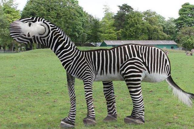 It's a zebra, but not as you know it