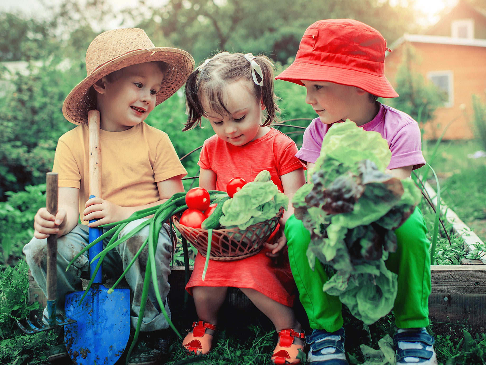 Children who are raised as vegetarians grow and develop at the same rate as meat-eaters