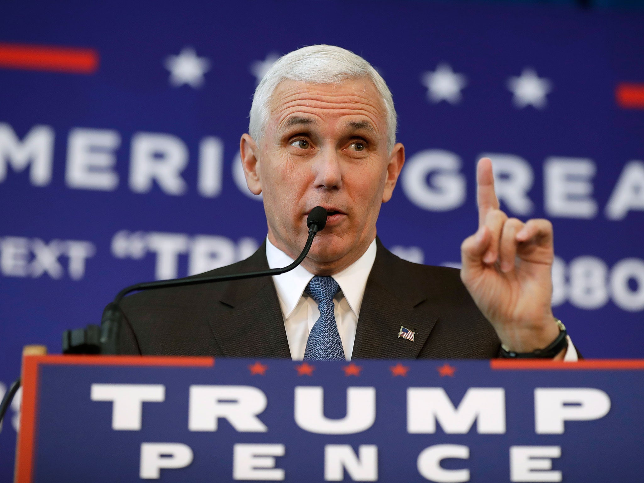 Many Republicans hoped the vice presidential candidate Mike Pence might force his running mate out of the way – but what relationship would the two have in office?