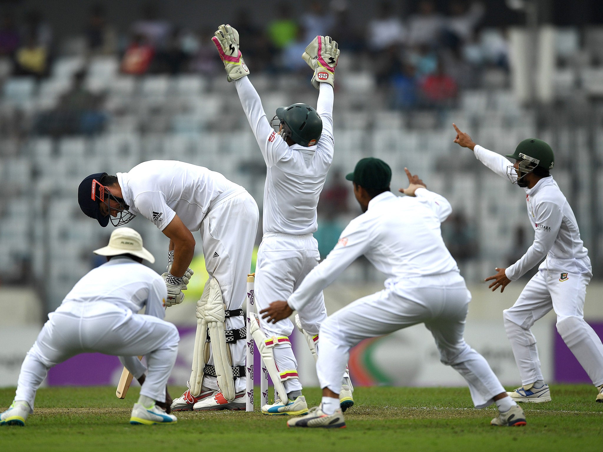 Alastair Cook was trapped LBW by Mehedi Hassan