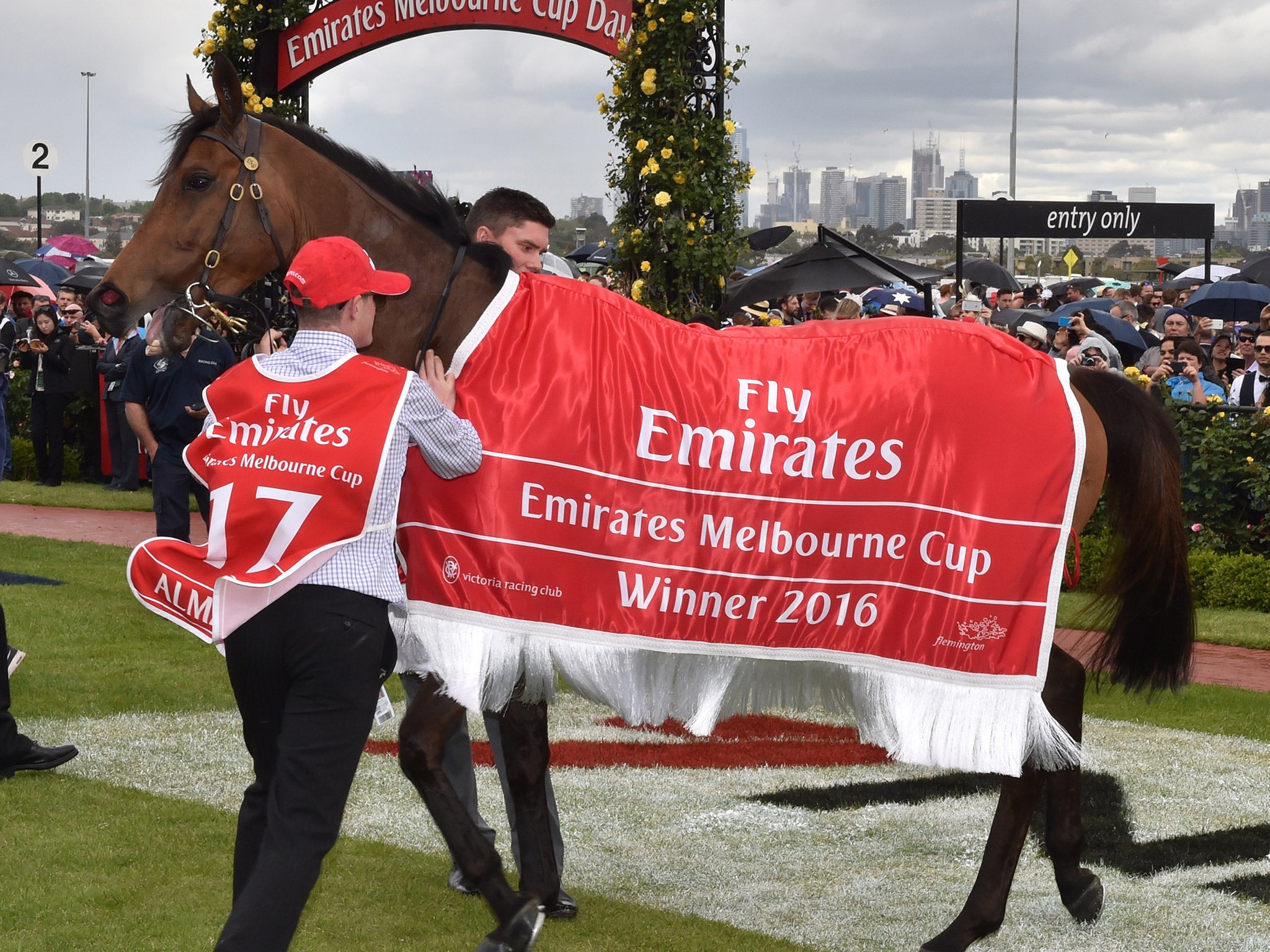 Robert Hickmott's Almandin won the 2016 Melbourne Cup