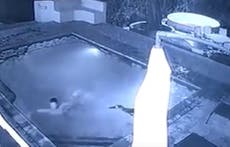 Crocodile attacks couple in swimming pool