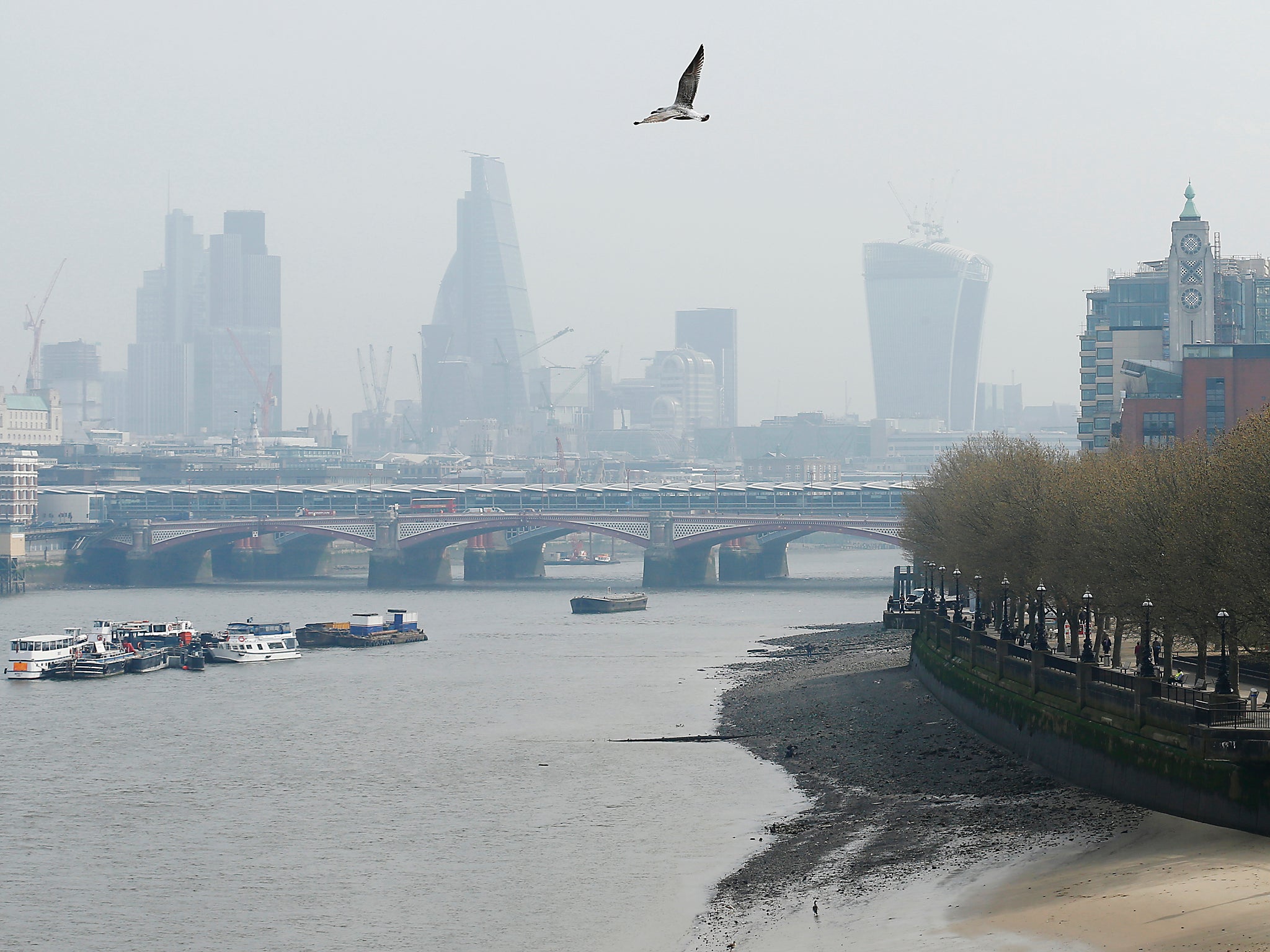 A seagull flies above the smog-filled skyline of the City of London