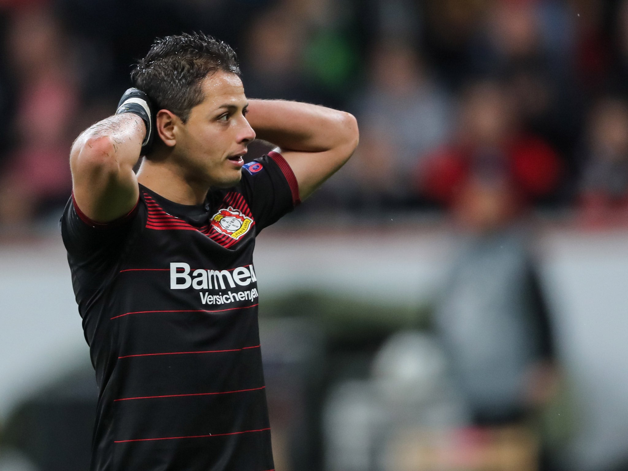 Javier Hernandez will hope to star on his return to the Premier League