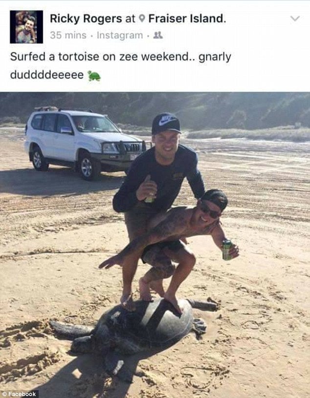 The photo of two men 'surfing' a dead turtle has received widespread condemnation from social media users