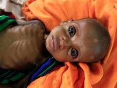 World facing apocalyptic future of famine, war and disease, UN warns