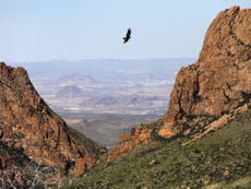 Man and teenage stepson die on hike in Texas national park in 119F heat