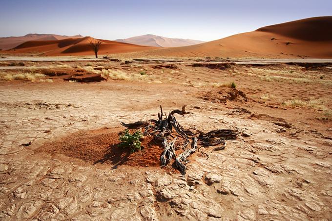 Namibia is one of the driest places on Earth