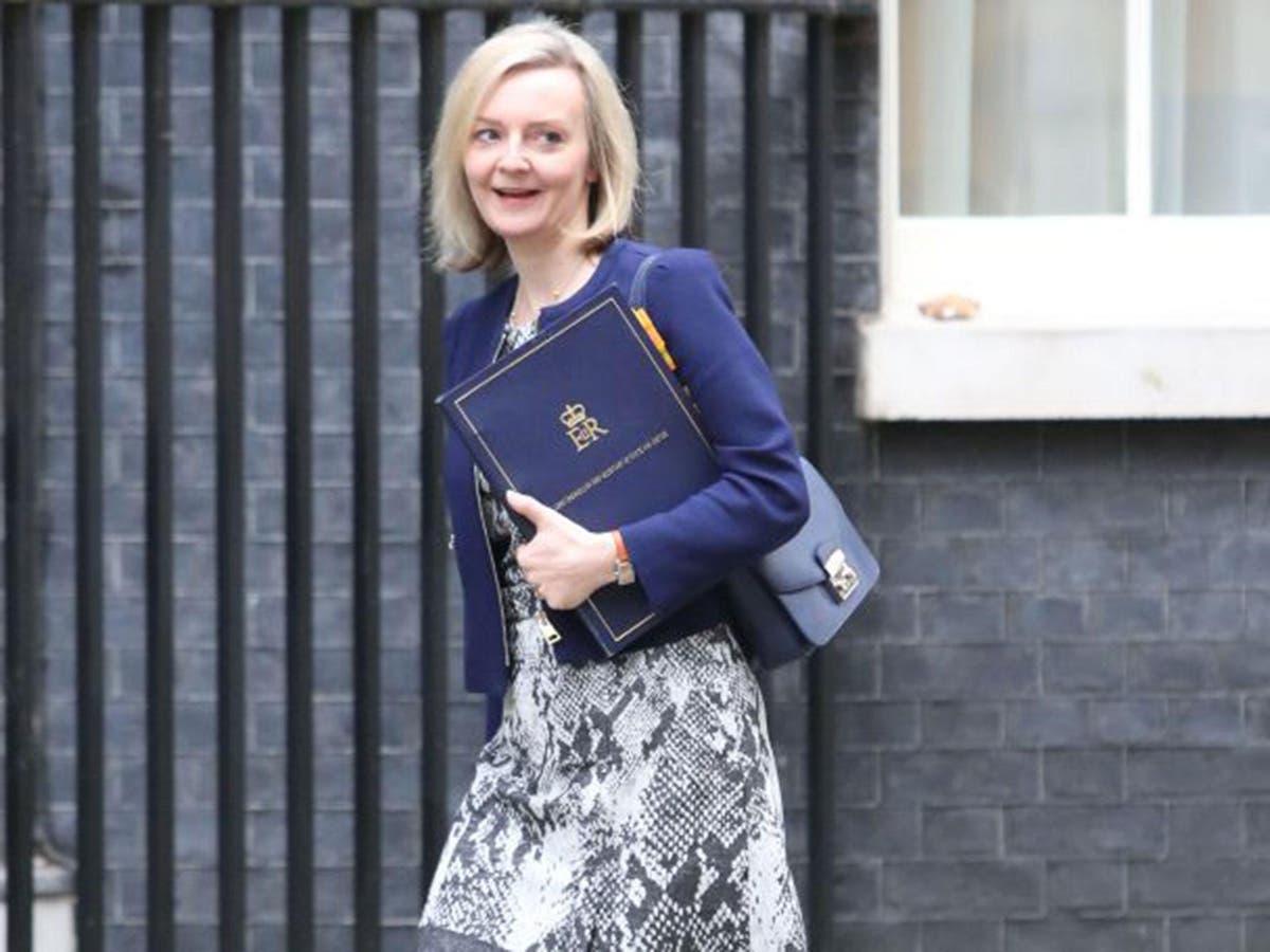 Justice Secretary Liz Truss suggests barking dogs could stop drones