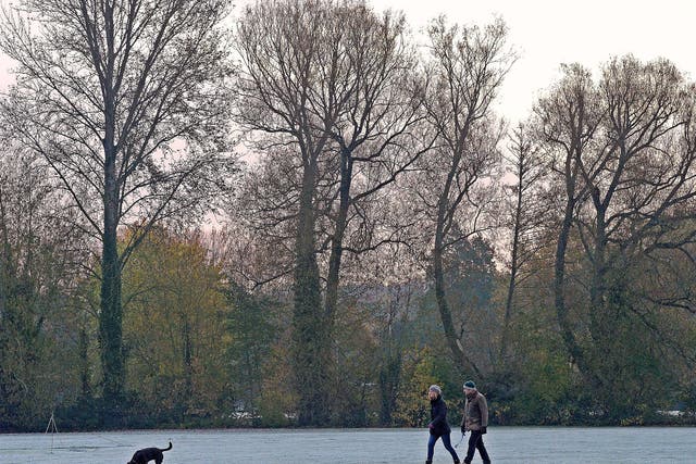 People walk their dog on frost covered grass in Winchester's North Walls Recreation Ground as temperatures drop