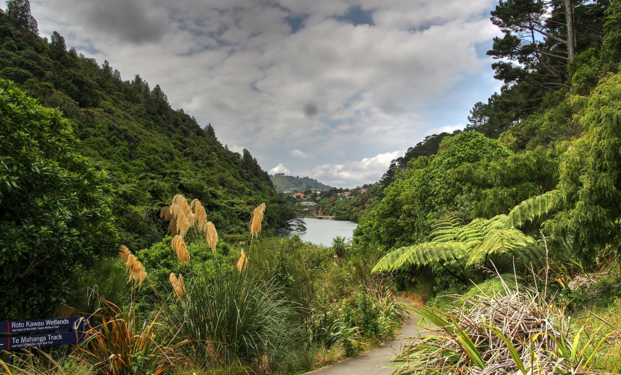 Zealandia