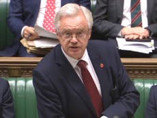 David Davis says UK could pay money to EU for single market access