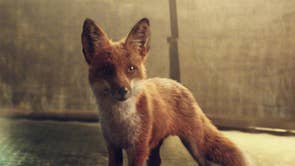 John Lewis Christmas Advert 2016 The 5 Funniest Reactions The Independent The Independent