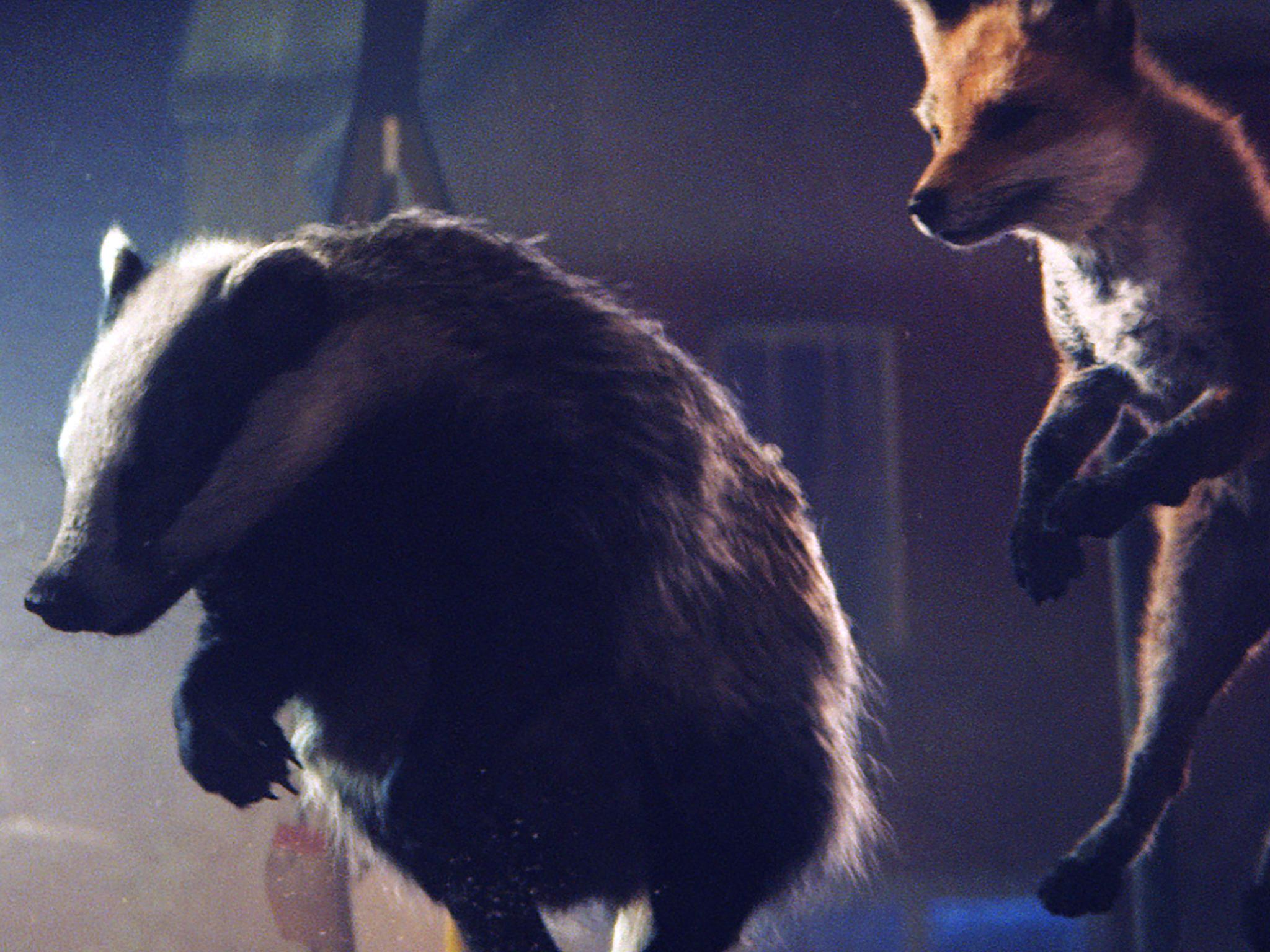 John Lewis have reverted back to using Britain's most-loved wildlife animals for their new Christmas advert