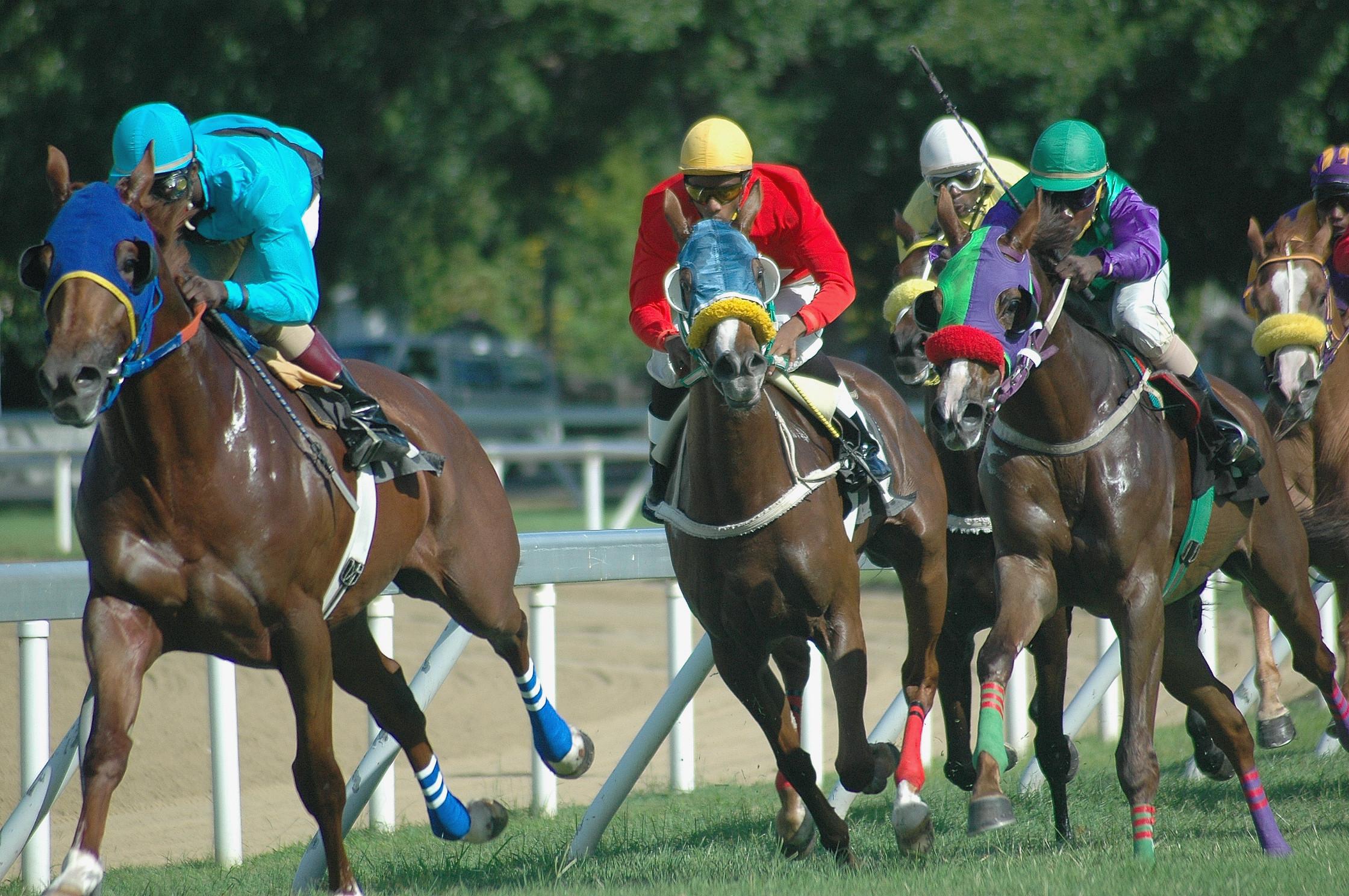 Racing at the Garrison Savannah