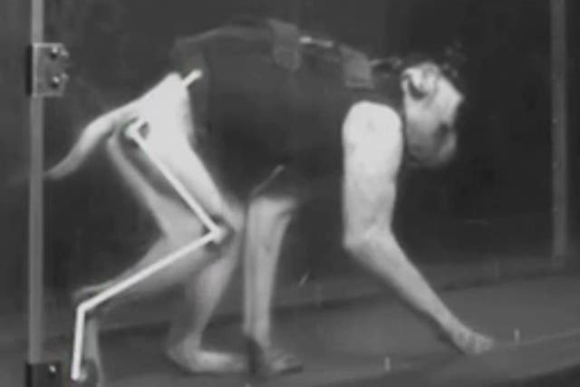 A rhesus monkey walks despite a spinal injury after a brain-spine interface was fitted