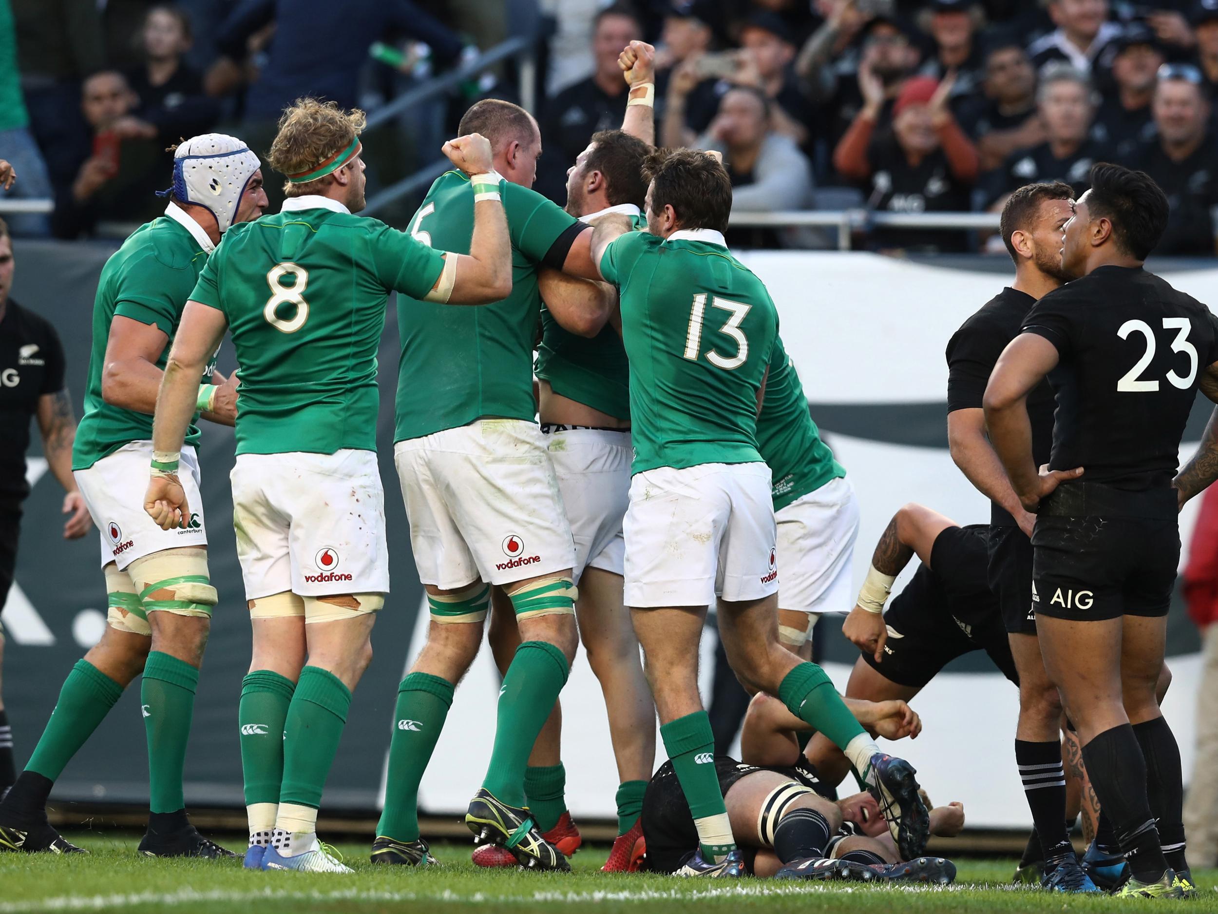 Ireland's historic victory has given Hogg belief that Scotland can compete
