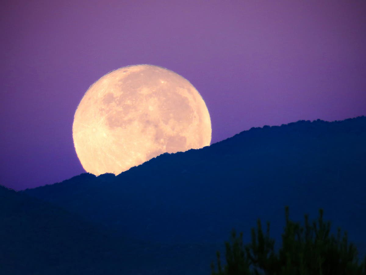 Super blue blood moon: Excitement grows for stunning lunar night sky ...