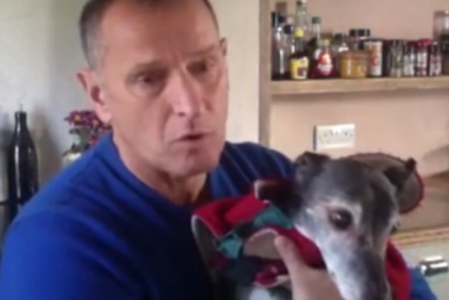 Mark Woods made an emotional appeal on Facebook for people and pets to join him on Saturday morning with his beloved pet Walnut on Porth Beach