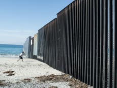 Parts of wall between Mexico and the US will be a fence, says Trump