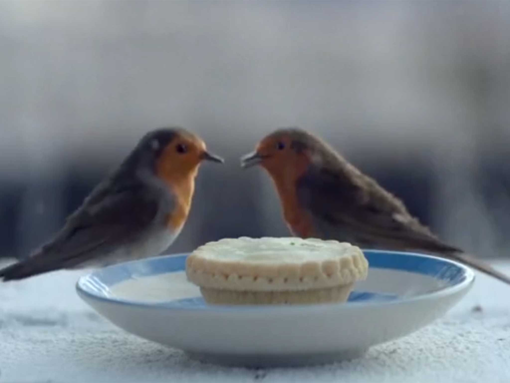 The Waitrose Christmas advert features a Scandinavian robin