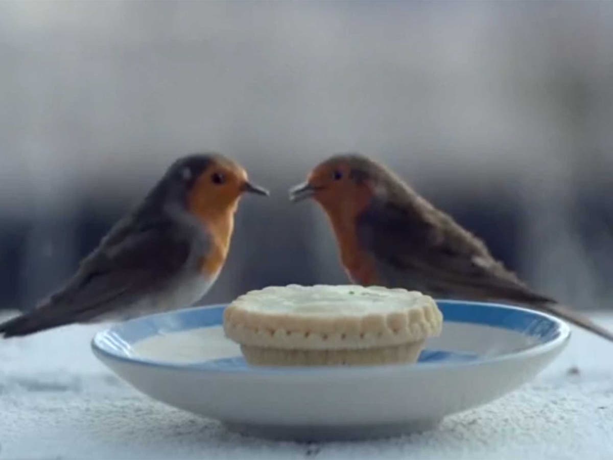 Waitrose advert described as 'best Christmas advert' this year The Independent The Independent