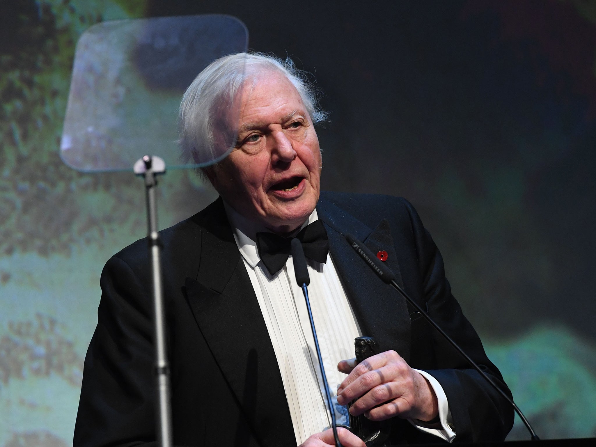 Constantly Working And Refusing To Slow Down – David Attenborough Is ...