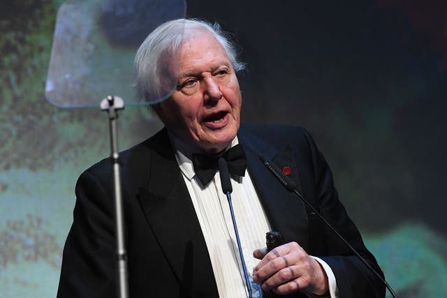 Sir David Attenborough speaking at the The London Evening Standard Theatre Awards at the Old Vic Theatre