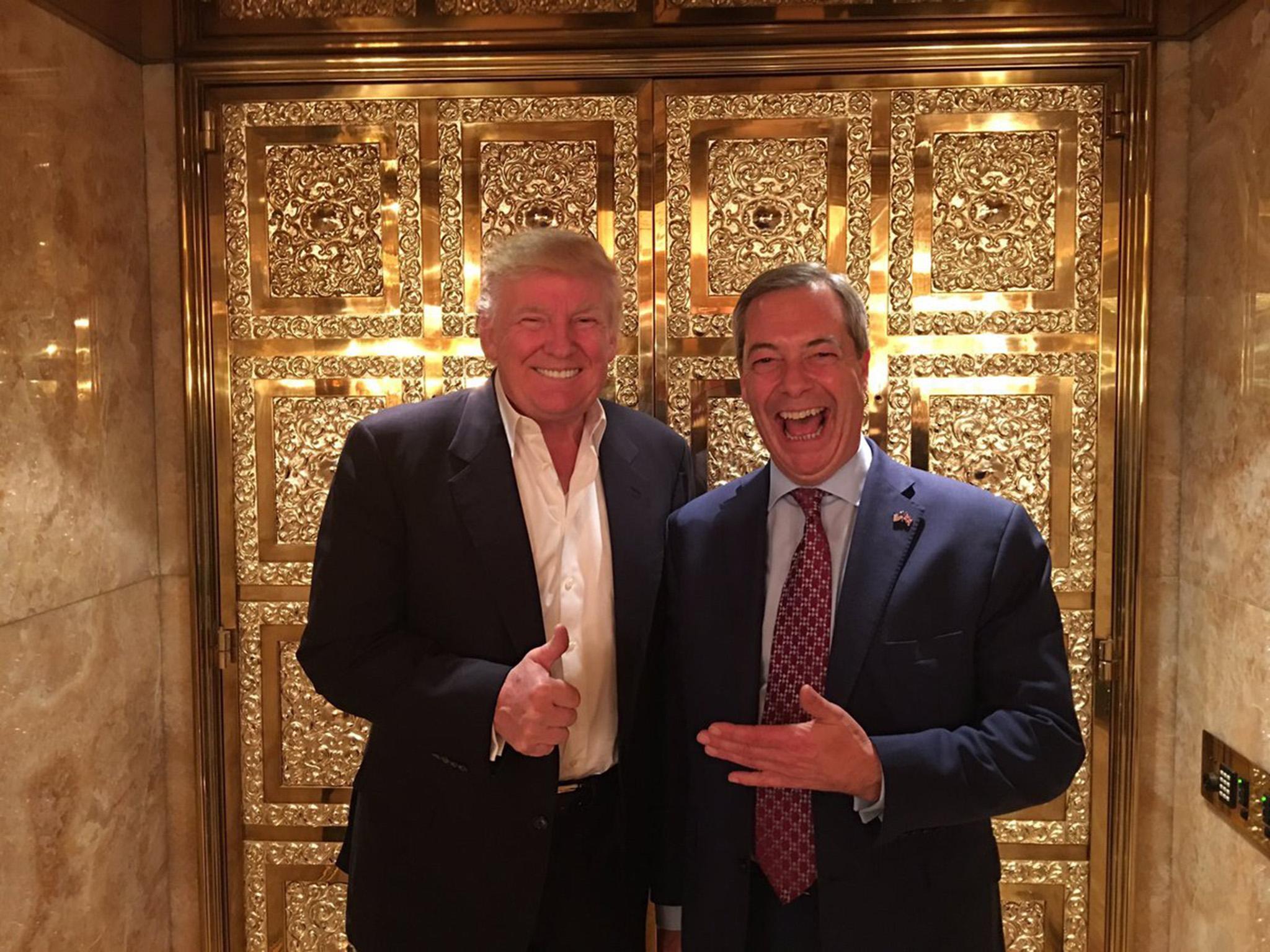 The interim Ukip leader was poppy-less when he met the President-elect at Trump Tower in New York City