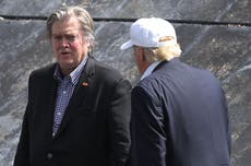 15,000 lawyers sign letter against appointment of Steve Bannon